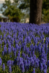 Similar image 20973291