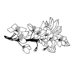 Similar image 20991883