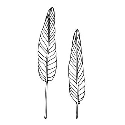 Similar image 20991890