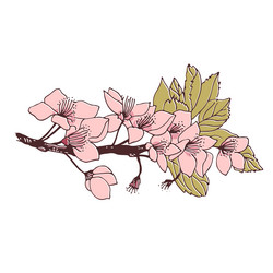 Similar image 20991898