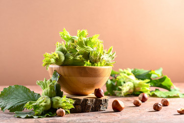 Similar image 20972027