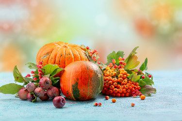 Similar image 20972271