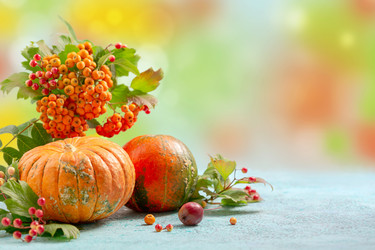 Similar image 20972272