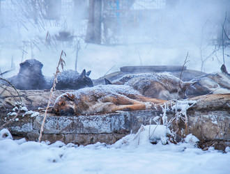 Similar image 21015305