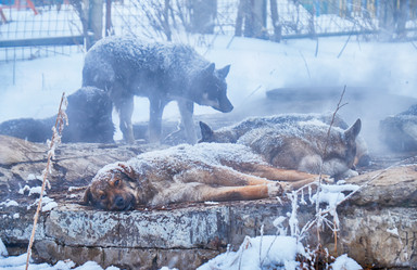 Similar image 21015307