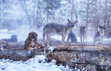 Similar image 21015309