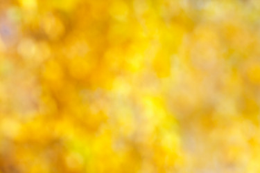 Similar image 21015319