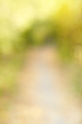 Similar image 21015324