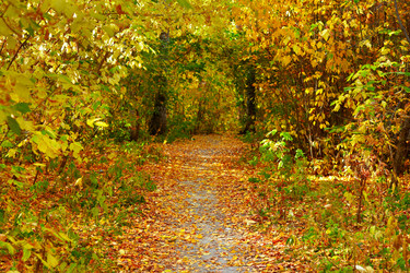 Similar image 21015329