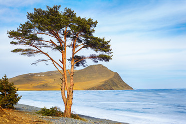 Similar image 21004041