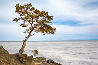 Similar image 21015340