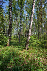 Similar image 21015345