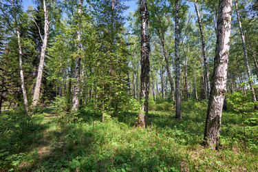 Similar image 21015346