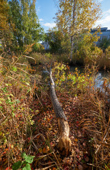 Similar image 21015351