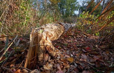 Similar image 21015354