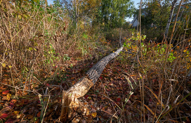 Similar image 21015355