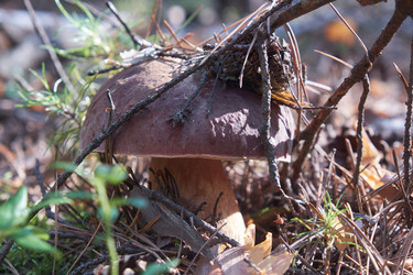 Similar image 21015359