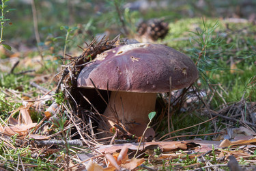 Similar image 21015360