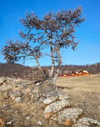 Similar image 20977157