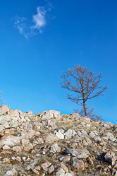 Similar image 20977562