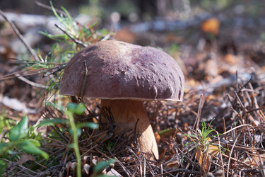 Similar image 20976919