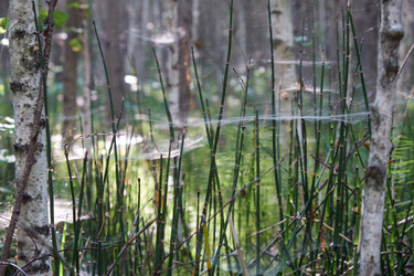 Similar image 20976920