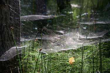 Similar image 20976921