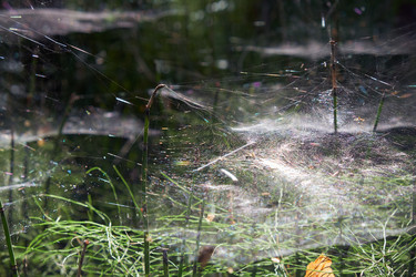 Similar image 20976923