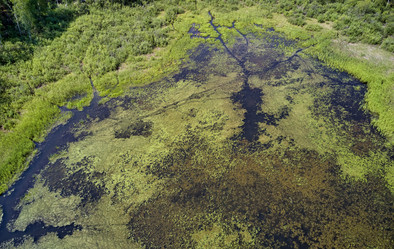 Similar image 20977018