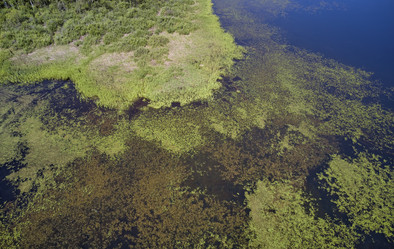 Similar image 20977023