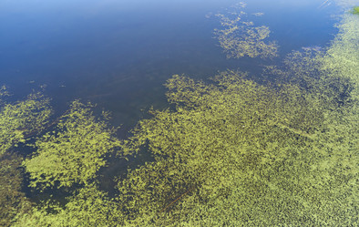 Similar image 20977029