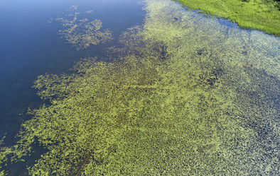 Similar image 20977035