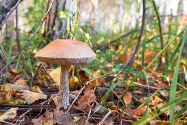 Similar image 20994781