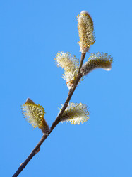 Similar image 20994783