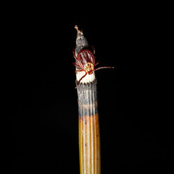 Similar image 20994784