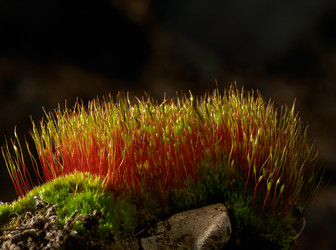 Similar image 21004049