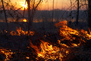 Similar image 21015363