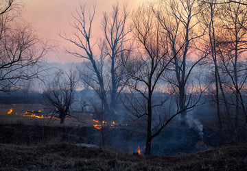 Similar image 21015366