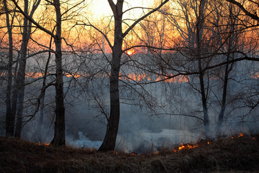 Similar image 21015367