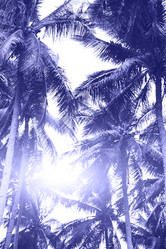 Similar image 20973987