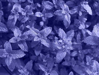 Similar image 20973988