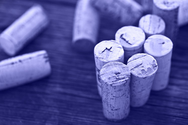 Similar image 20974068