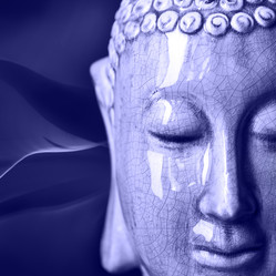 Similar image 20974071