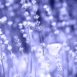 Similar image 20974149