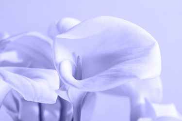 Similar image 20974152