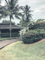 Similar image 20973948