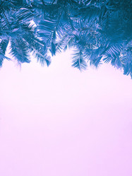 Similar image 20973560