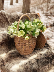 Similar image 20973568