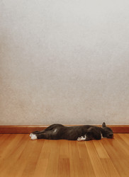 Similar image 20973572