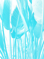 Similar image 20973752